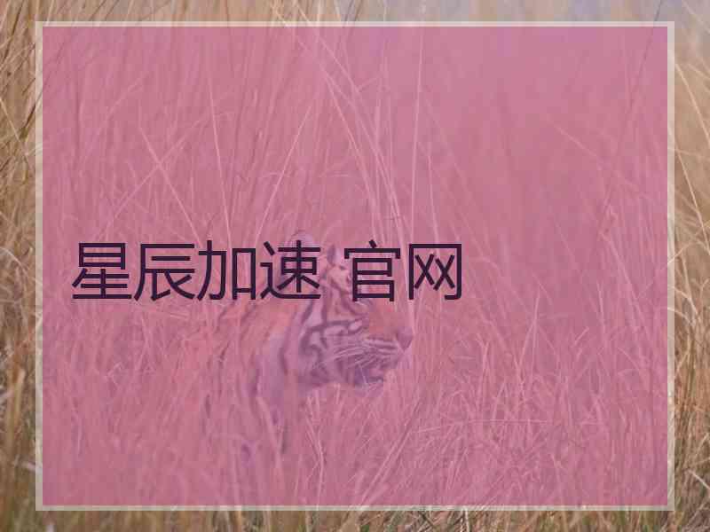 星辰加速 官网