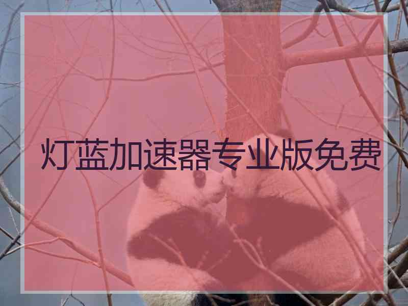 灯蓝加速器专业版免费