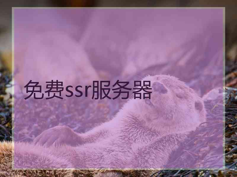 免费ssr服务器