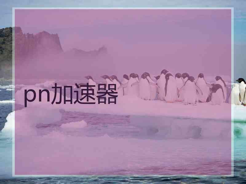 pn加速器