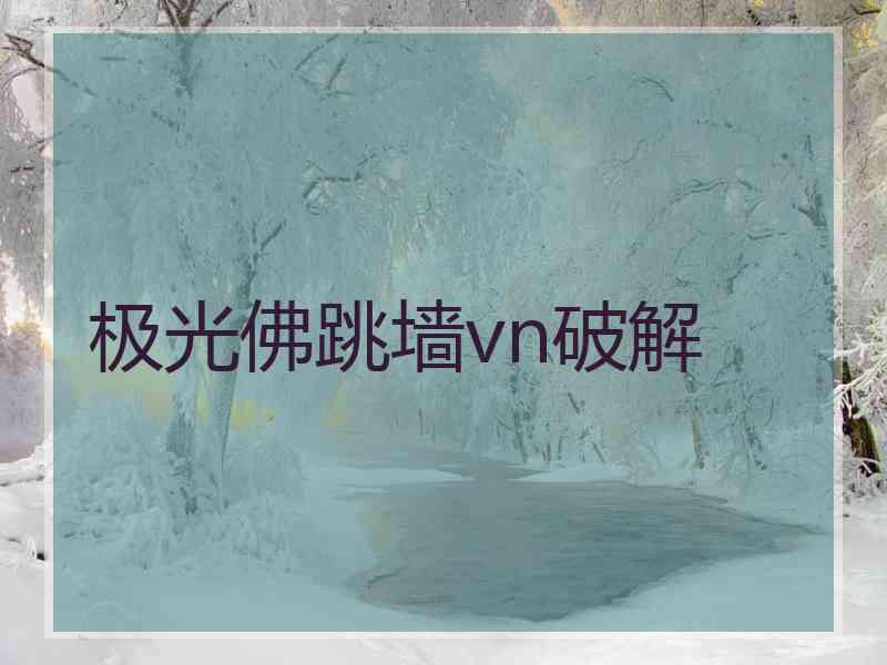 极光佛跳墙vn破解