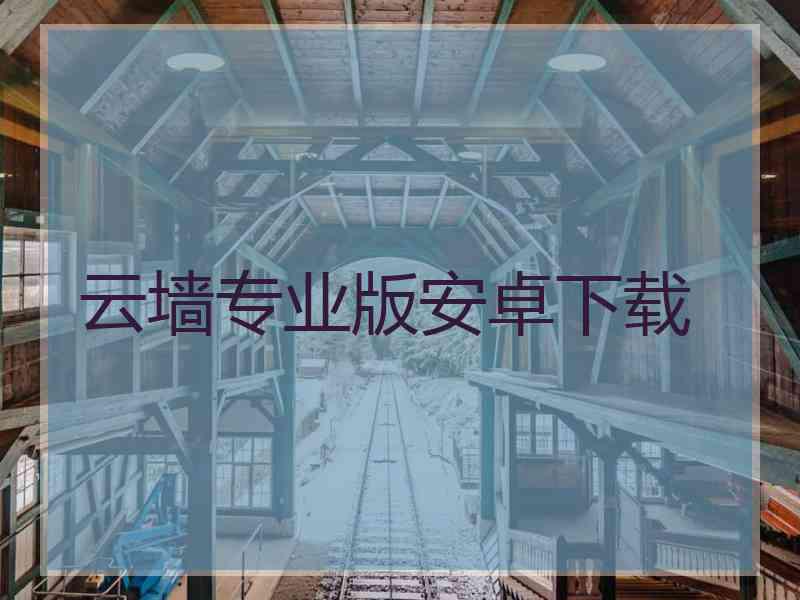 云墙专业版安卓下载