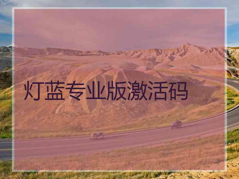 灯蓝专业版激活码