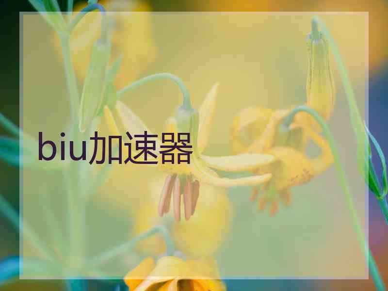 biu加速器