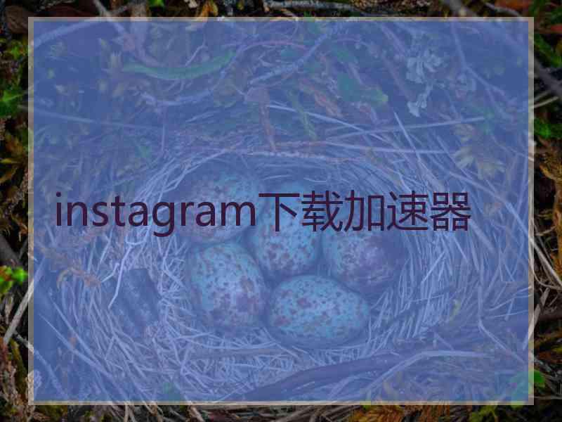 instagram下载加速器