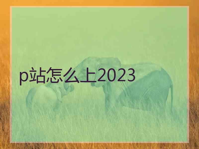 p站怎么上2023