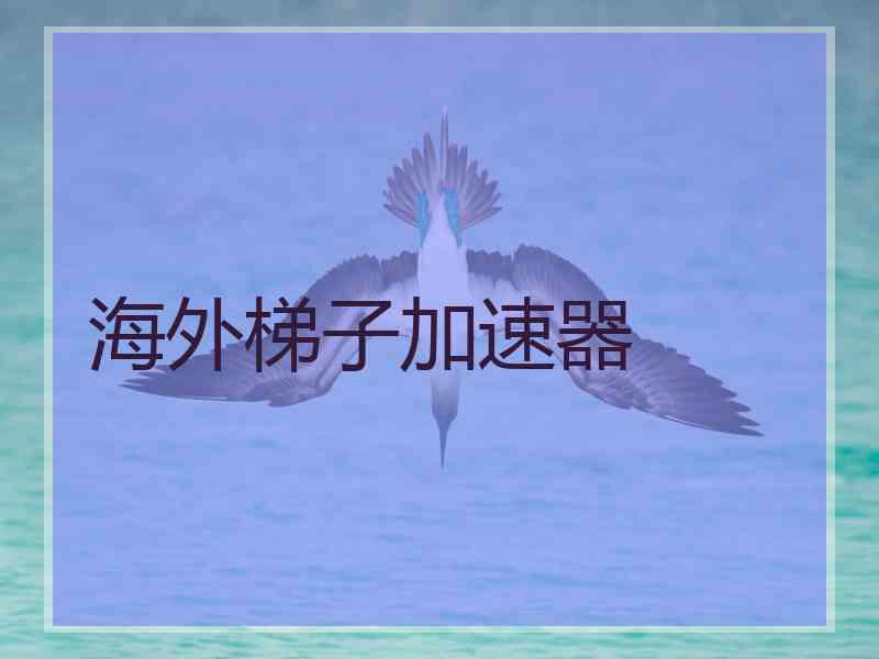 海外梯子加速器