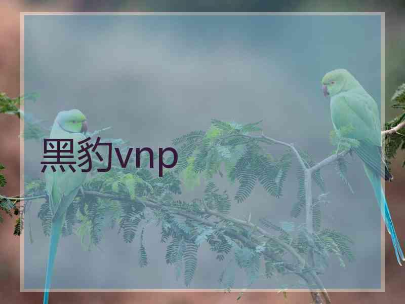 黑豹vnp