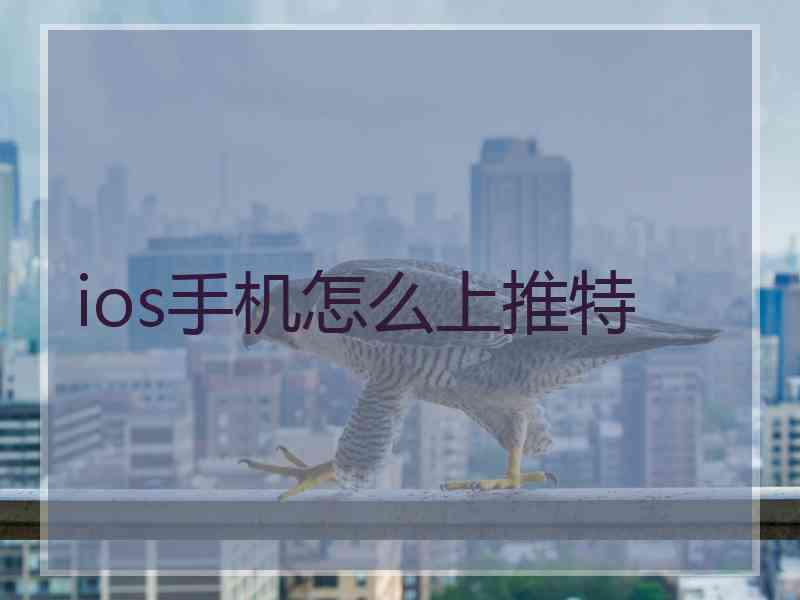ios手机怎么上推特