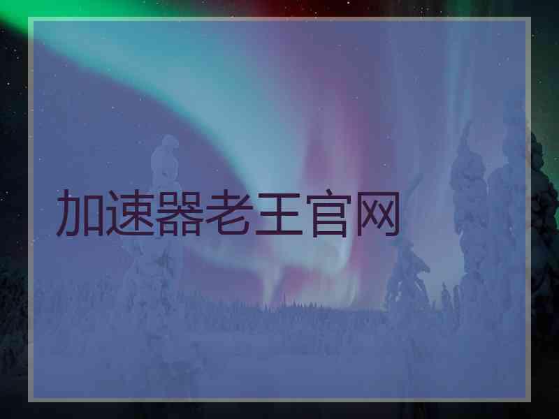 加速器老王官网
