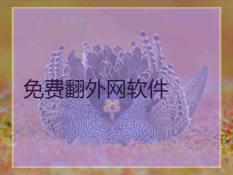 免费翻外网软件