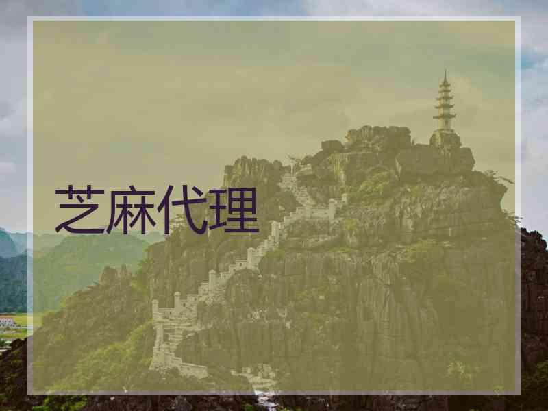 芝麻代理