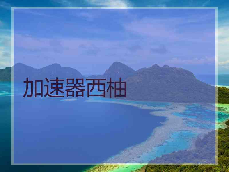 加速器西柚
