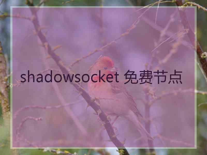 shadowsocket 免费节点