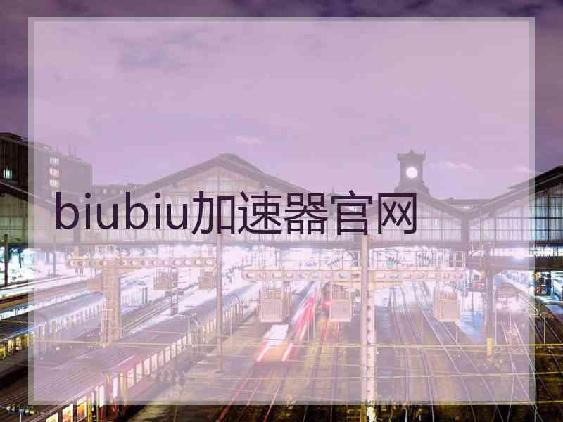 biubiu加速器官网