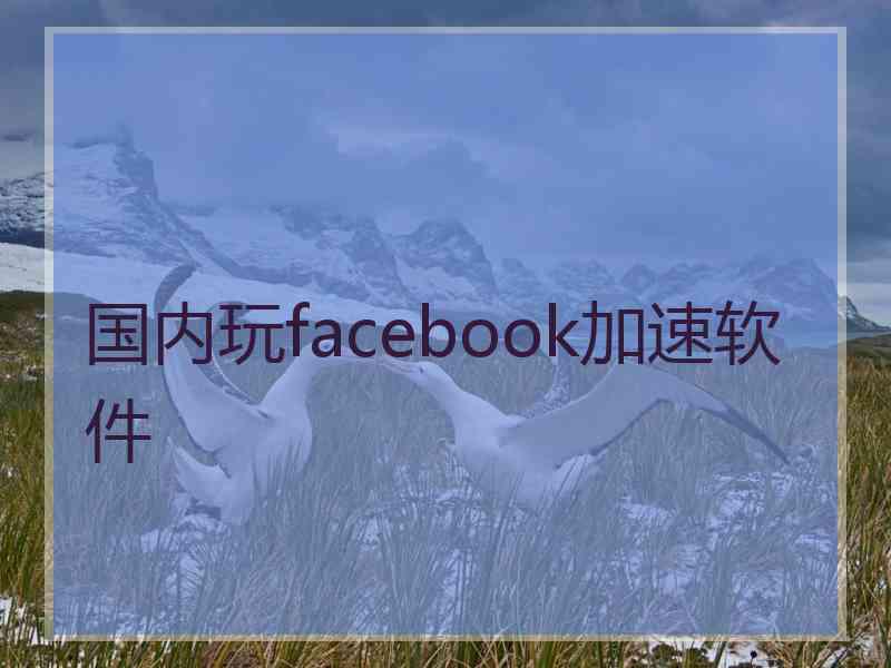 国内玩facebook加速软件