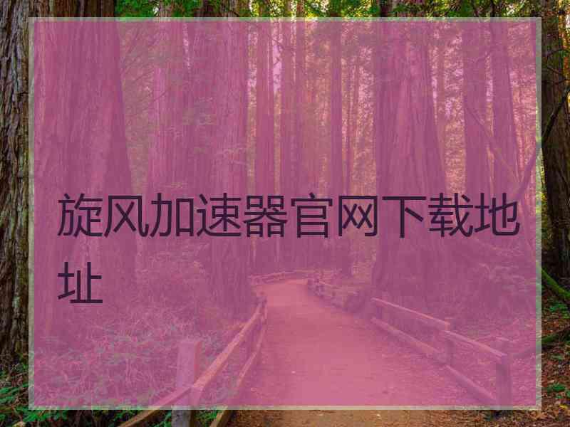 旋风加速器官网下载地址