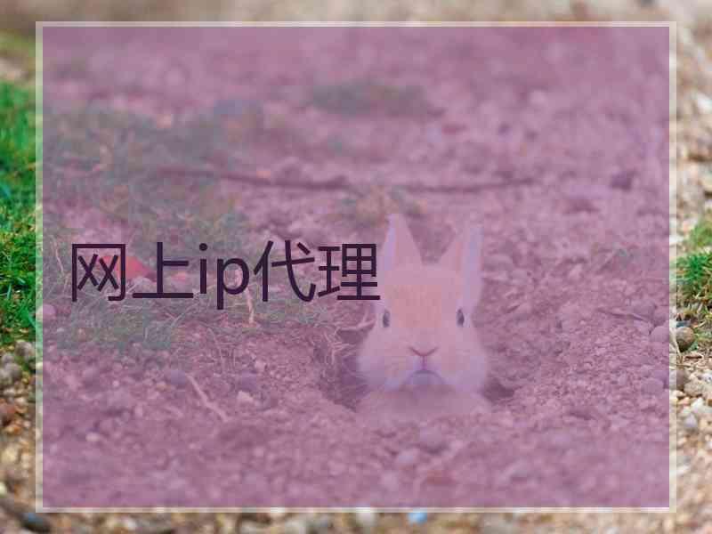 网上ip代理