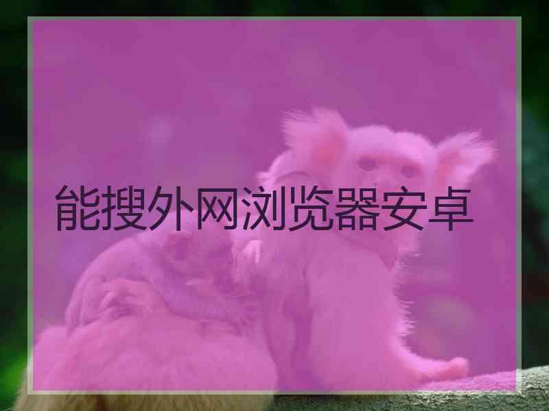 能搜外网浏览器安卓