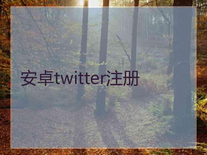 安卓twitter注册