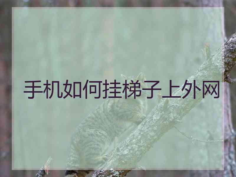 手机如何挂梯子上外网