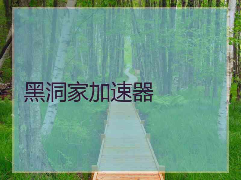 黑洞家加速器