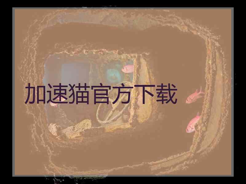 加速猫官方下载