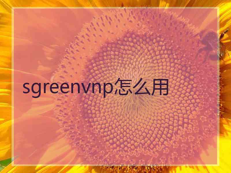 sgreenvnp怎么用