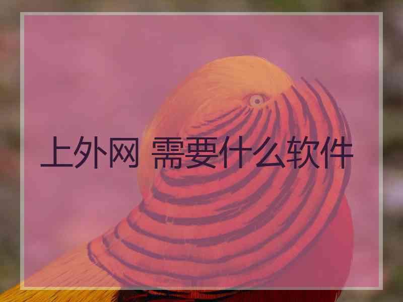 上外网 需要什么软件