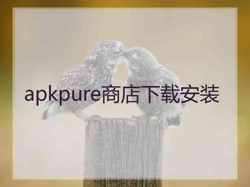 apkpure商店下载安装