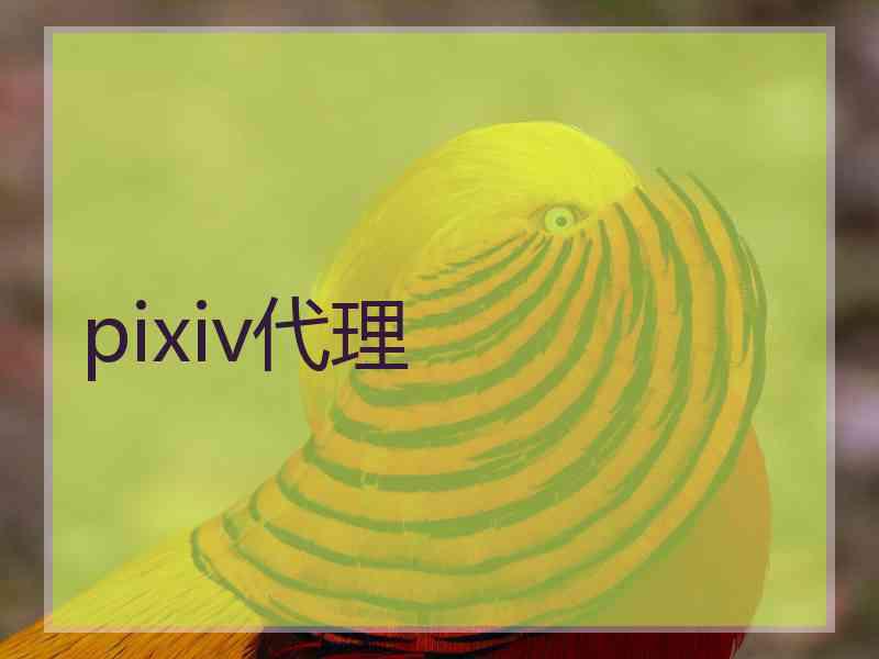 pixiv代理