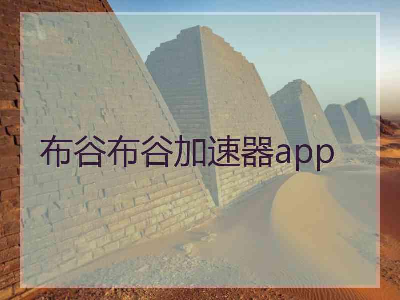 布谷布谷加速器app