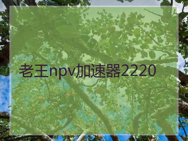 老王npv加速器2220