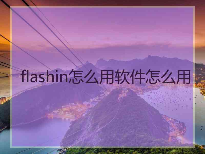 flashin怎么用软件怎么用