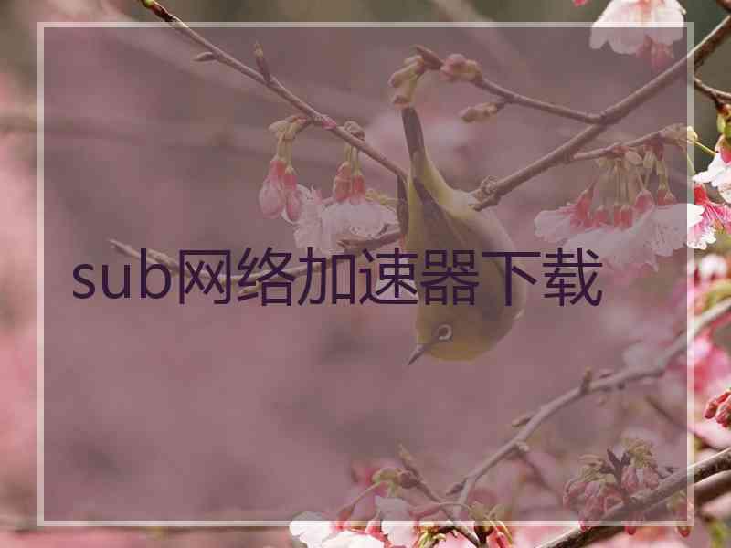 sub网络加速器下载