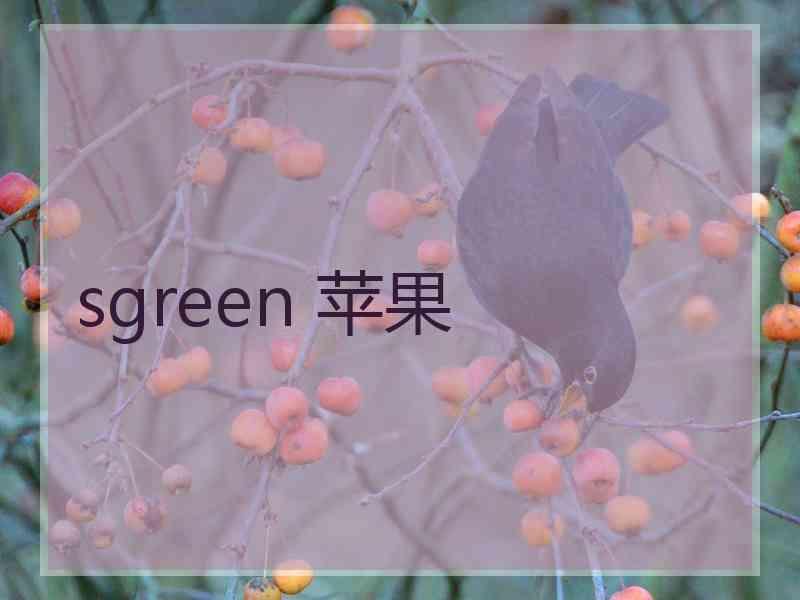 sgreen 苹果