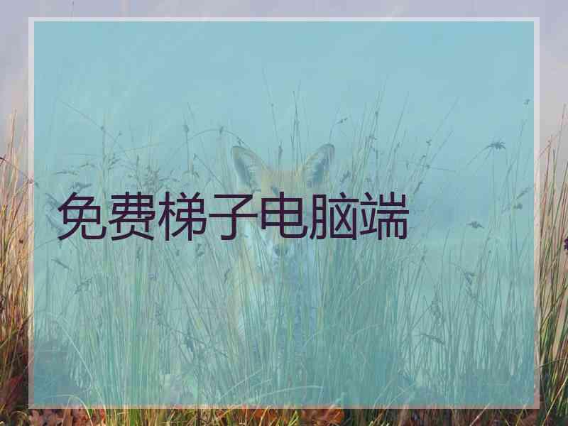 免费梯子电脑端