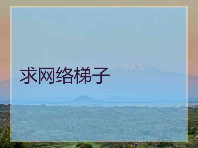 求网络梯子