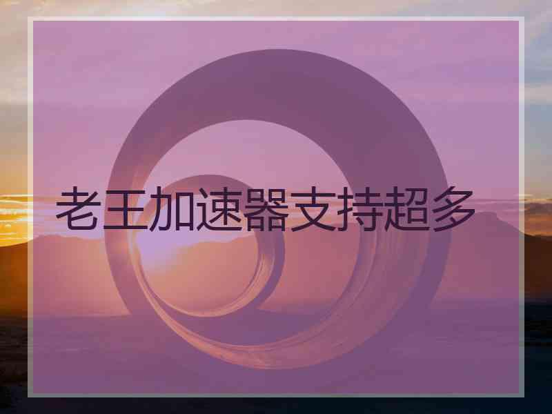 老王加速器支持超多