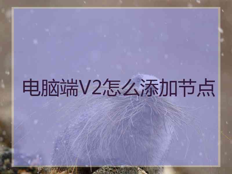 电脑端V2怎么添加节点