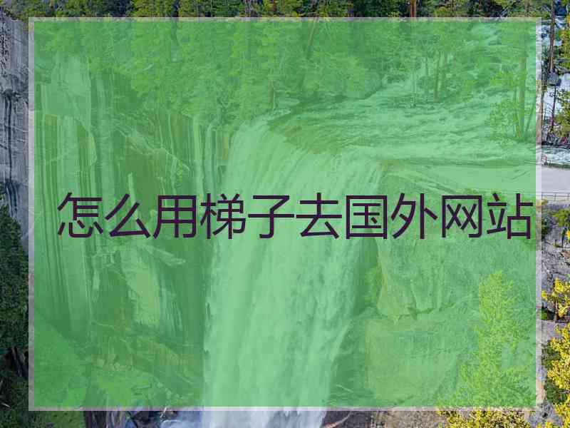 怎么用梯子去国外网站