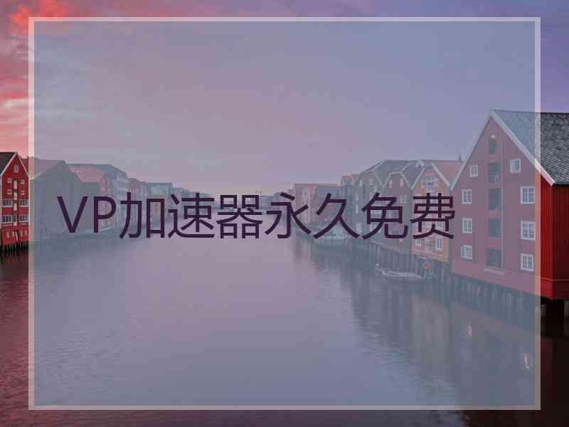 VP加速器永久免费