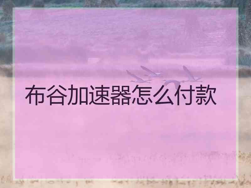 布谷加速器怎么付款
