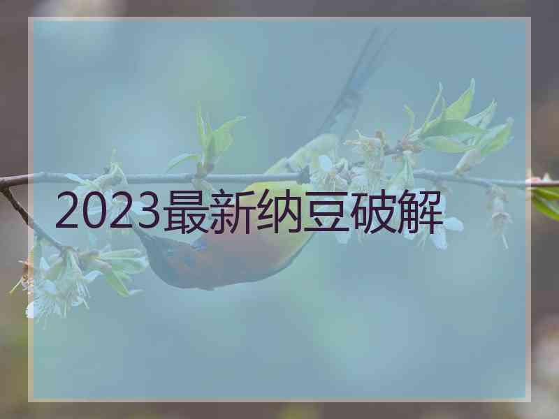 2023最新纳豆破解