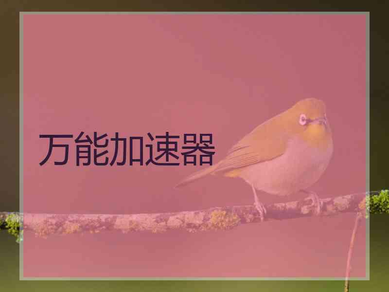 万能加速器