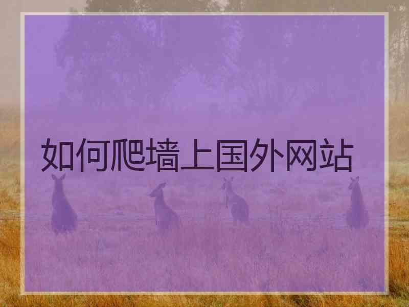 如何爬墙上国外网站