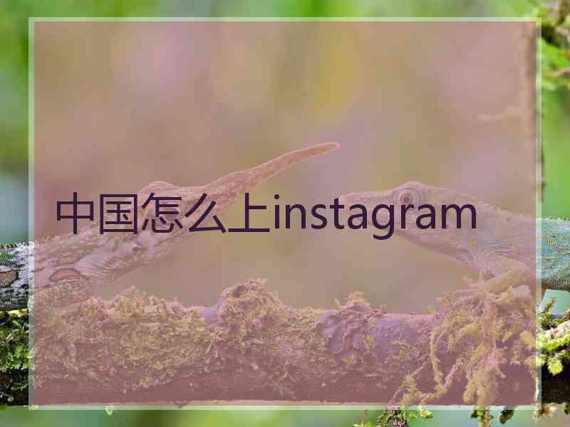 中国怎么上instagram