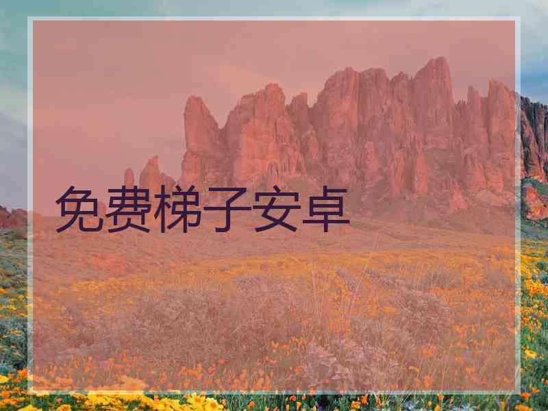 免费梯子安卓