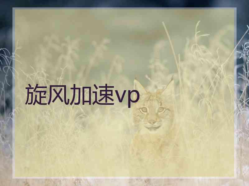 旋风加速vp