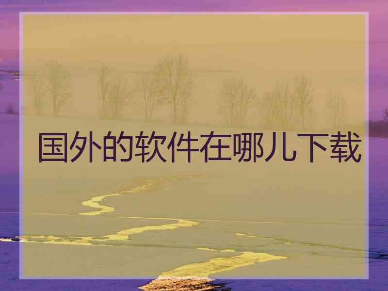 国外的软件在哪儿下载